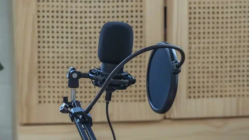 Image avec un micro afin d'illustrer les services de gestion de retranscription d'audio du site Cindy Rédige