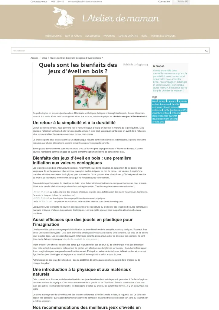 Capture d'écran de l'article "bienfaits des jeux d'éveils en bois"